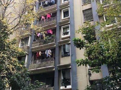 南阳头条建设路小区,建设路小区焕新升级，打造宜居新典范