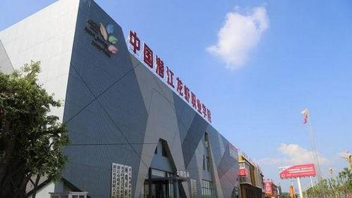 潜江本土网红排行榜,揭秘网红背后的故事与影响力