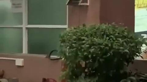 昆明吃瓜新闻,揭秘网络热议背后的真相与反思