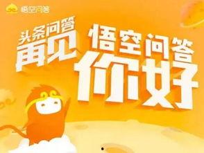 头条问答5000阅读量,揭秘5000阅读量背后的热门话题与读者心声