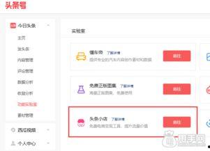 头条怎么开店,轻松掌握开店全流程，开启电商新篇章