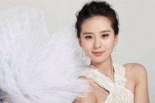 明星潜皇规则刘诗诗,潜皇规则下的璀璨星途