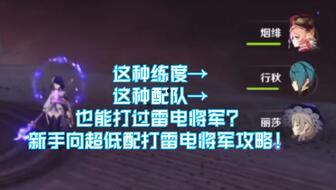 雷电将军内部爆料视频下载,内部爆料视频深度解析