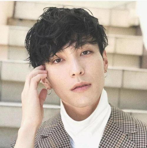 日本明星小狼狗,日本明星的独特风采