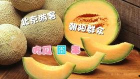 朝阳区哪里吃瓜,美食地图带你畅游瓜果盛宴