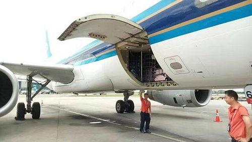 青岛空运货物新闻头条,助力区域物流发展