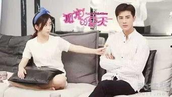 主顾在线观看,揭秘数字时代的互动新趋势