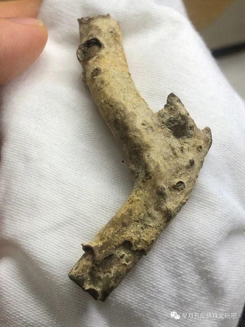 海柳满血料怎么看品质,揭秘其卓越品质的秘密