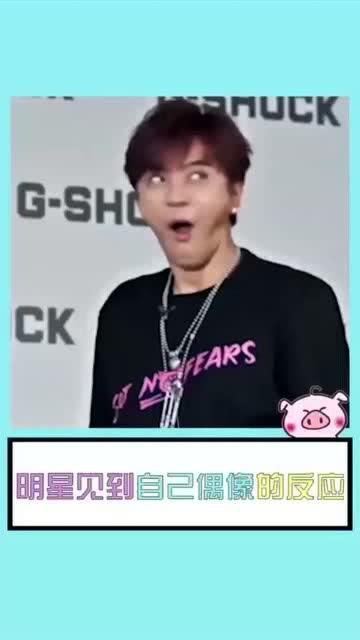 明星自己的偶像,揭秘明星偶像背后的故事与影响