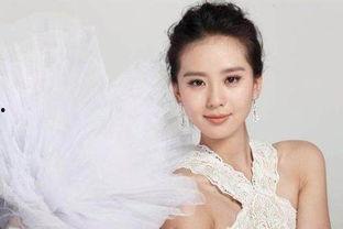 明星潜皇规则刘诗诗