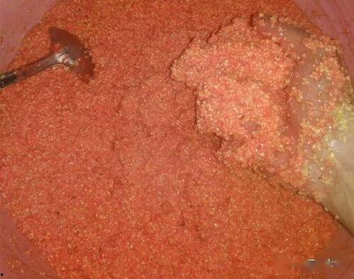 怎样看窝料的好坏,如何挑选优质窝料