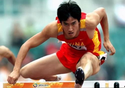 体育界明星,荣耀时刻与辉煌成就