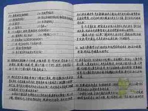 微头条读书摘抄,探寻知识的碎片与智慧的光芒