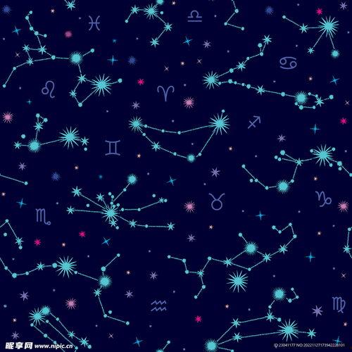 11宫有星星能做网红