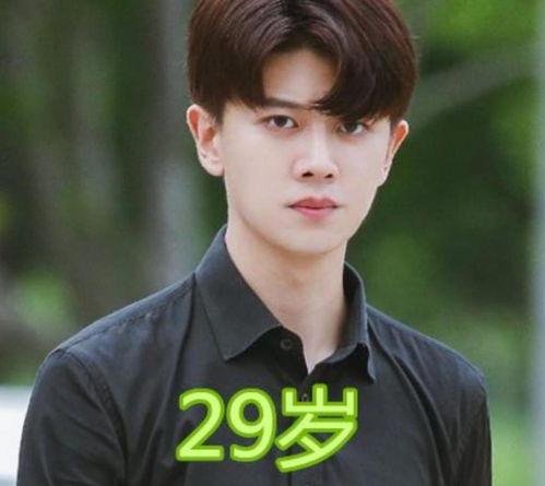 男明星任某某,星光熠熠的男明星之路