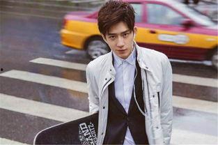 蓝明星男明星攻略,揭秘男明星魅力养成记