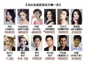 农民小伙谈明星片酬,明星片酬背后的行业真相与反思