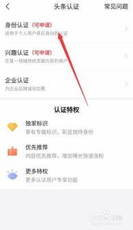 做头条认证怎么选领域好,如何挑选最适合你的领域？