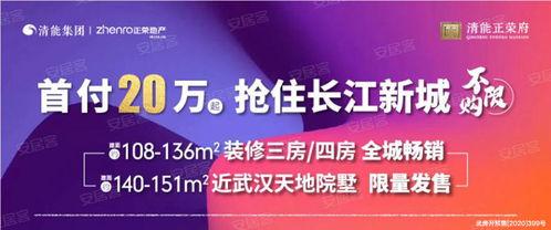 武汉武金堤新闻头条,筑牢城市防洪屏障