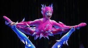 太阳马戏团快手网红,揭秘马戏艺术与网络新星的跨界魅力