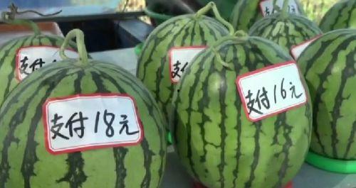 江苏漫展吃瓜,吃瓜群众现场直击，揭秘幕后花絮与精彩瞬间