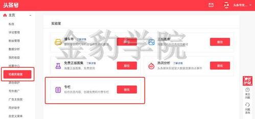 头条号为什么有专栏