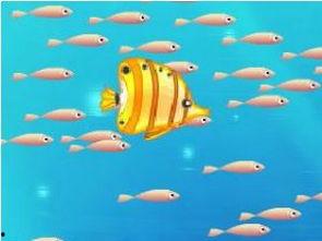 大鱼吃瓜娱乐,揭秘娱乐圈幕后故事