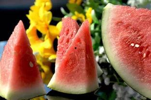 疫情期间娱乐圈吃瓜,吃瓜群众见证的幕后风云