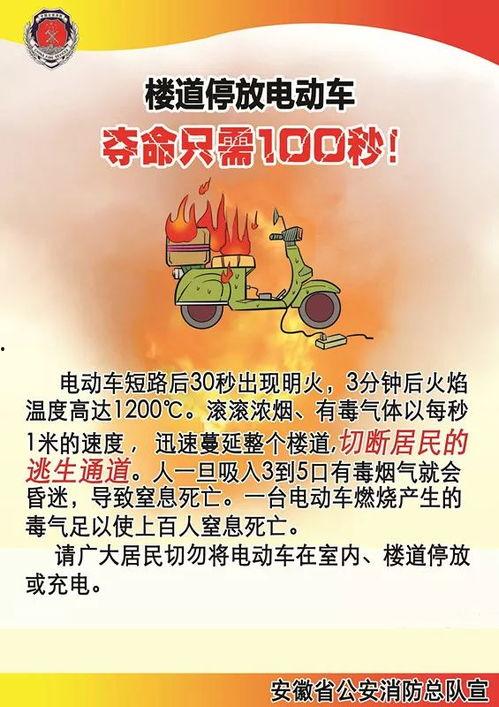 娱乐吃瓜蜀黍广告图片,揭秘明星幕后故事，带你领略娱乐圈风云变幻